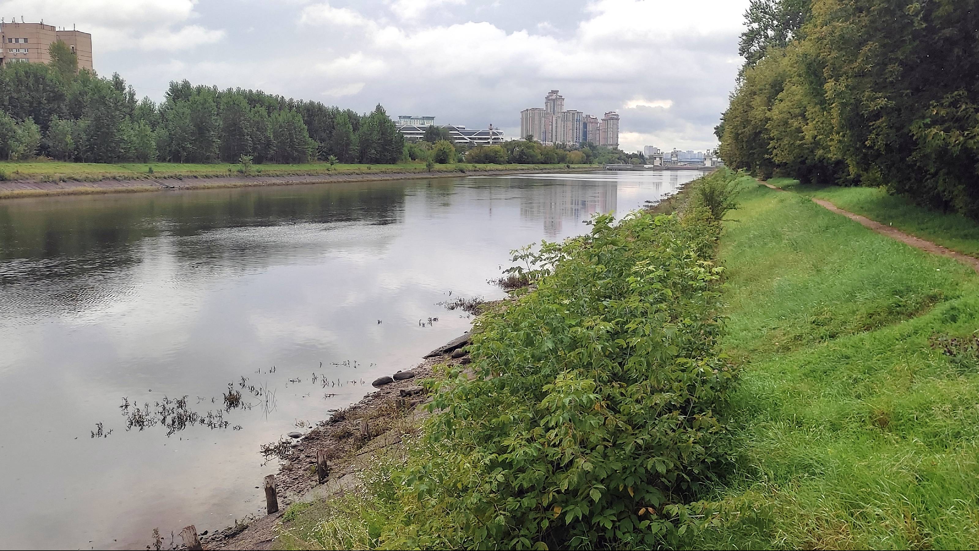 По каналу в Тушино. 13.08.2024. смотреть онлайн