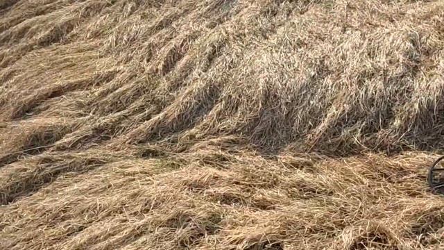 КОП МЕТАЛЛОЛОМА! НЕУДАЧНЫЙ ВЫЕЗД! смотреть онлайн