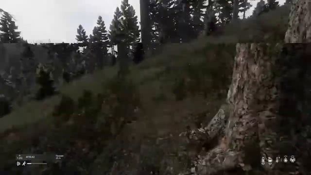 DayZ ps4 от 1-ОГО лица смотреть онлайн