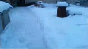 Наконец то выпал снег , Все грядки припорошило ЛУК ОЗИМЫЙ И ЧЕСНОК