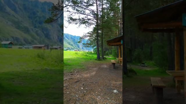 Кемпинг «Сосновый берег» ждет ценителей первозданной природы в гости. смотреть онлайн