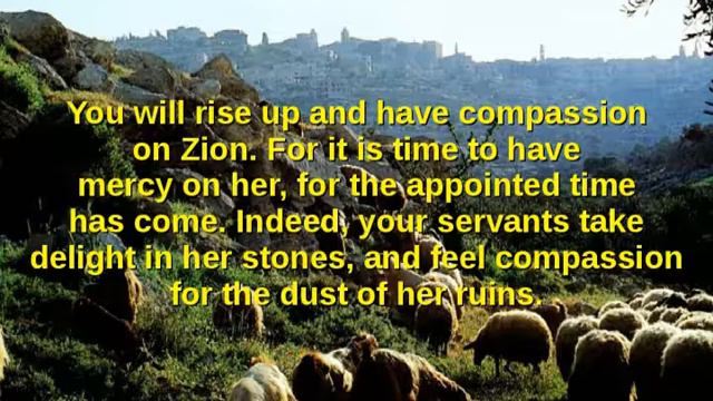 Psalm 102 смотреть онлайн