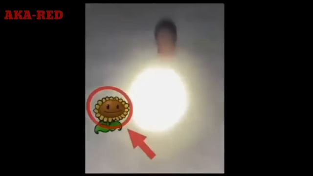 Shitposting Compilation #544 | Videos Random смотреть онлайн