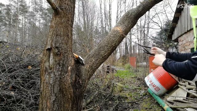 ОБЗОР ПИЛ ДЛЯ ВЫЖИВАНИЯ В ЛЕСУ! смотреть онлайн