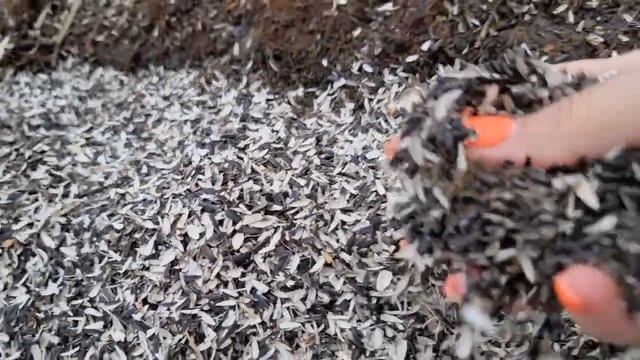 Как разрыхлить почву мгновенно и на долго. Незаменимый компонент для грунта.