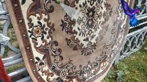 Стираем ковер кёрхером