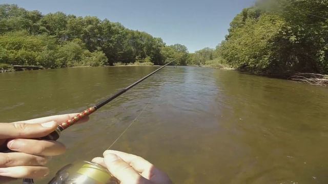 КОСИЛИ ХАРИУСА и ТАЙМЕНЬ выскользнул из рук. Рыбалка на реке Арсеньевка. Приморье. 2019/06