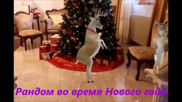Рандом во время Нового года смотреть онлайн