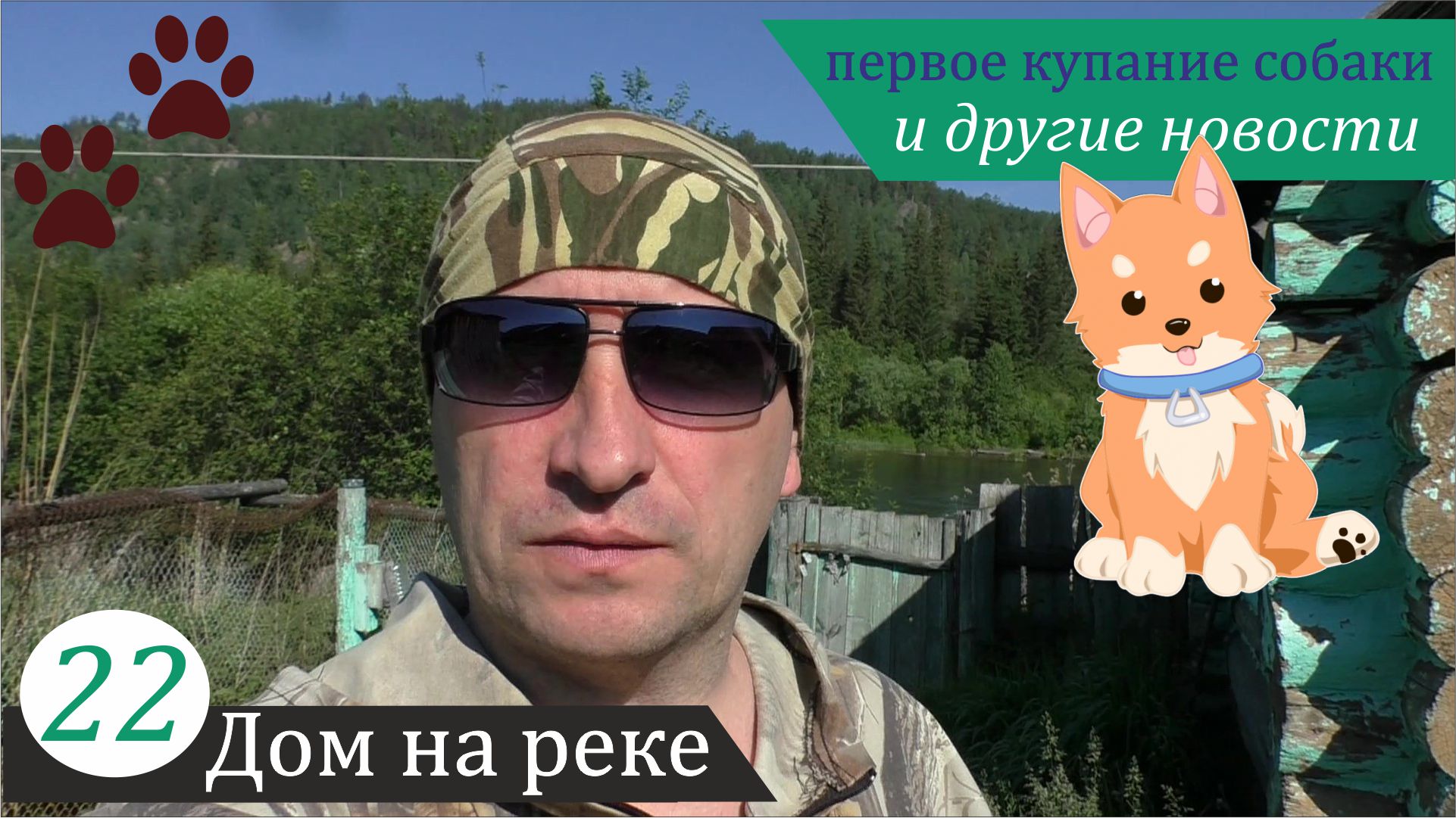 Первое купание собаки, сода vs. муравьи - начало эксперимента и другое... Дом на реке, часть 22 смотреть онлайн