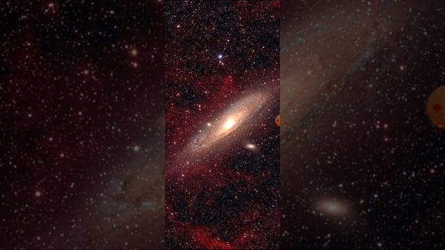 Котенок Гав смотреть онлайн