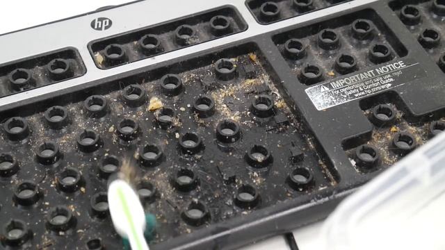 I Found The World's Dirtiest Keyboard смотреть онлайн