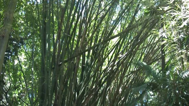 Маврикий 2012 смотреть онлайн