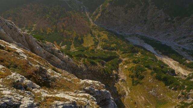 Супруг умоляет взять с собой в отпуск свекровь, уверена, что отдых будет омрачен смотреть онлайн
