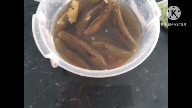 Цирковые Шоу с Трюками и Фокусами