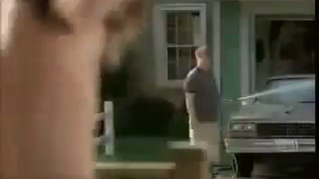 Супер прикол Опасные бабочки смотреть онлайн