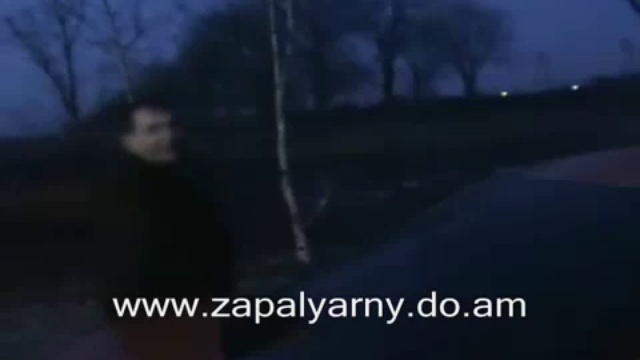 V Taverne Nikandr Zapalyarny