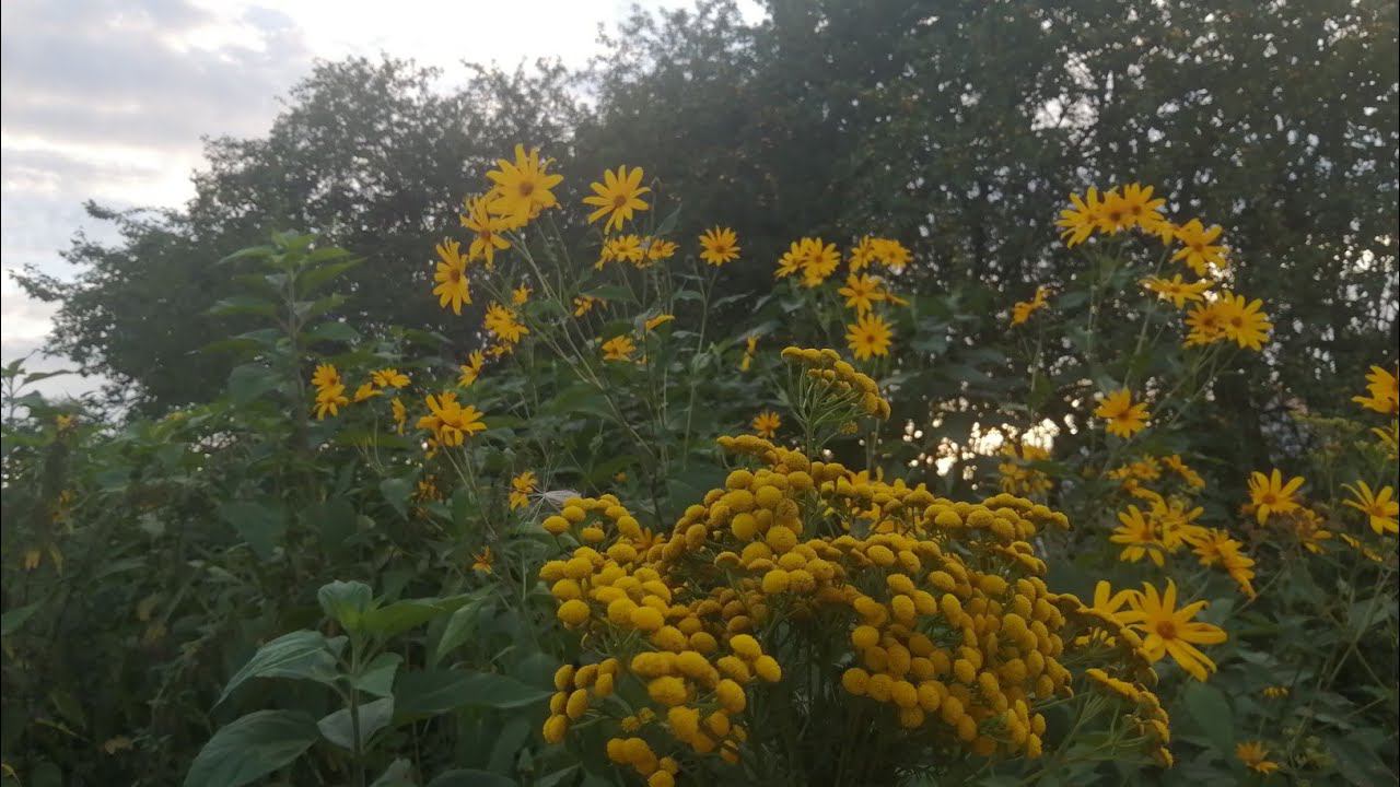 Спасибо за внимание смотреть онлайн