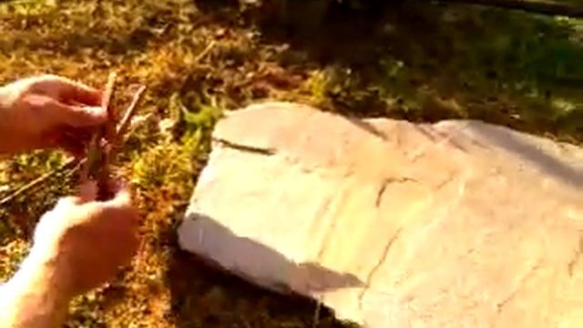 Ловушка для крыс, мышей, птиц и других мелких животных своими руками легко смотреть онлайн
