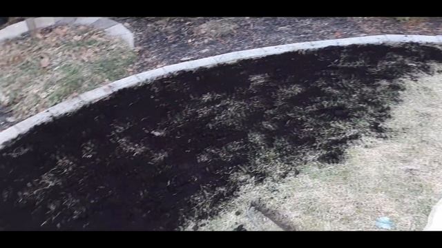 Как ухаживать за газоном смотреть онлайн