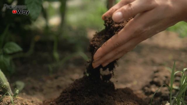 ЛЕНИВЫЙ КОМПОСТ ЗА 1 МИНУТУ ПРЯМО НА ГРЯДКЕ!