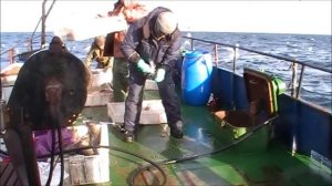 Ну очень трудная рыбалка.Териберка.Кильдин.Треска