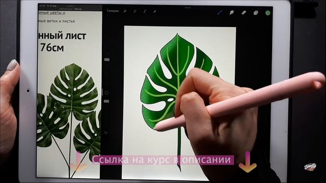 Рисуем на iPad в Procreate в стиле kawaii || Часть 2 смотреть онлайн