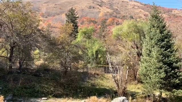 РЫБА ФОРЕЛЬ на МАНГАЛЕ. ШАШЛЫК из РЫБЫ по-Кавказски. смотреть онлайн