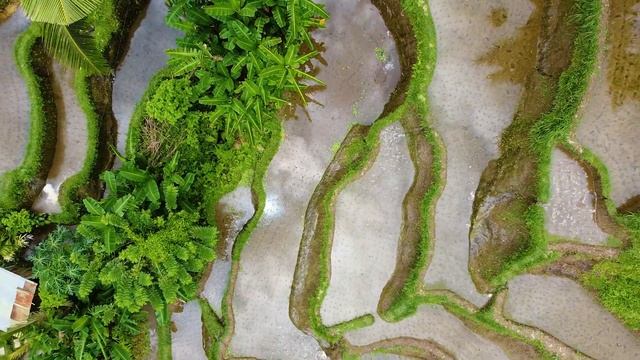 Bali from Above Short Relax Indonesia смотреть онлайн