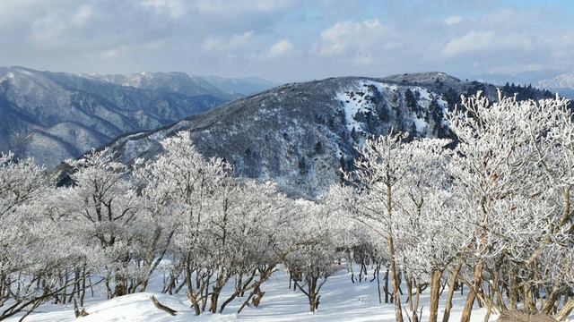 Ocean Deep(lyrics) Cliff Richard #lyrics #song #music #country #lyricvideo