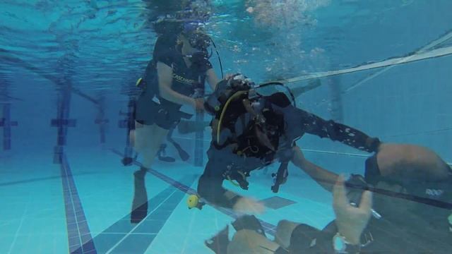 Dive For All - 5