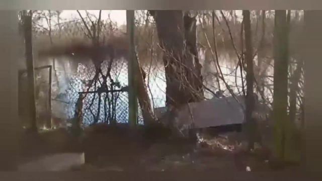 Херсон Гидропарк Зоопарк смотреть онлайн