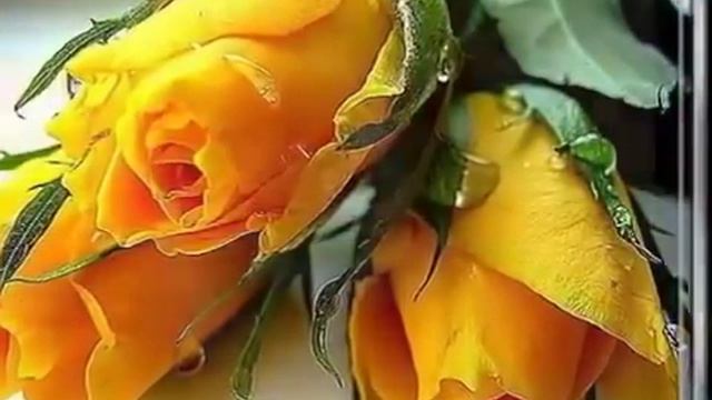 Песня "Ангелы👼" смотреть онлайн