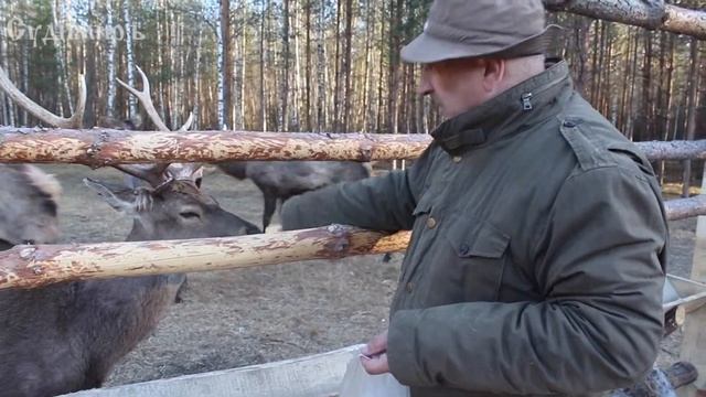 Сергей Иванович. Усадьба Судимиръ (Промо) смотреть онлайн