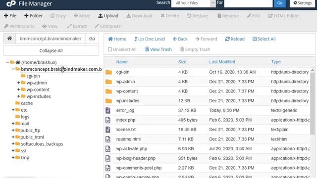 UPLOADING & INSTALLING PLUGINS THROUGH YOUR C-PANEL(for domains and subdomains) смотреть онлайн