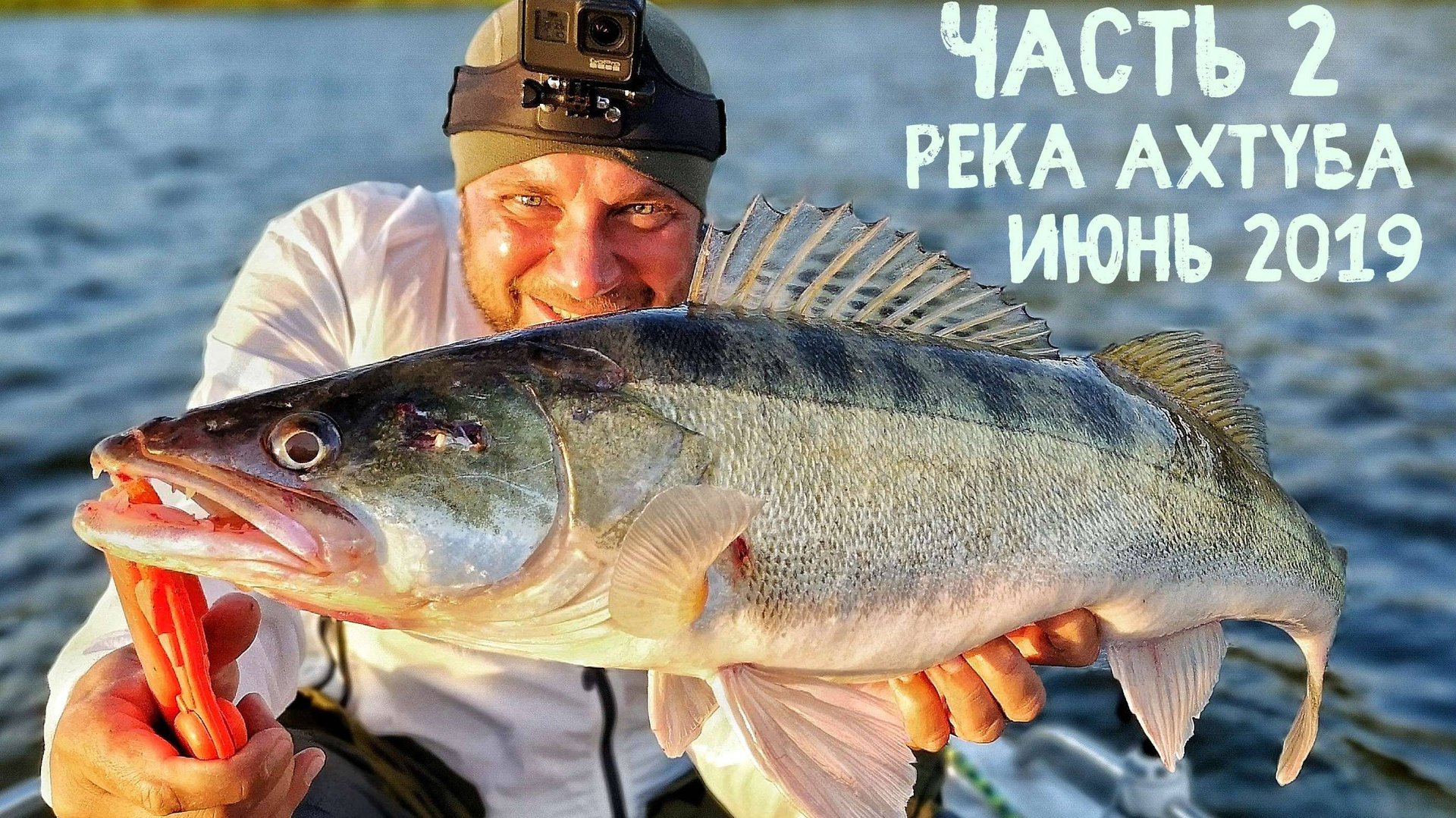 Судак в полводы - мифы или реальность. Июнь 2019 (часть 2) Отличная рыбалка на реке Ахтуба