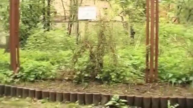 Руководство к Творчеству