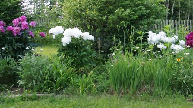 The Garden смотреть онлайн