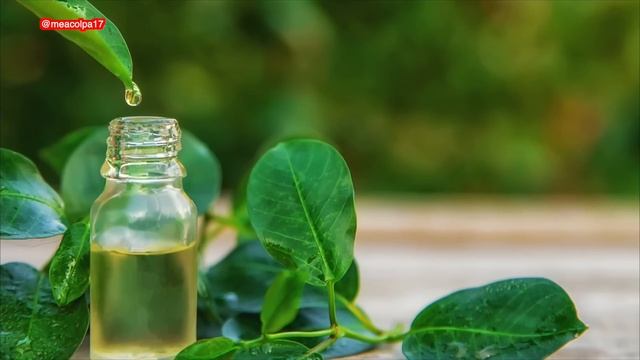 Φαγούρα Στα Γεννητικά Οργανα - 10 Σπιτικές Θεραπείες