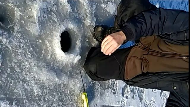 Зимняя рыбалка в СРБ ППРУС 10.01.2018 смотреть онлайн