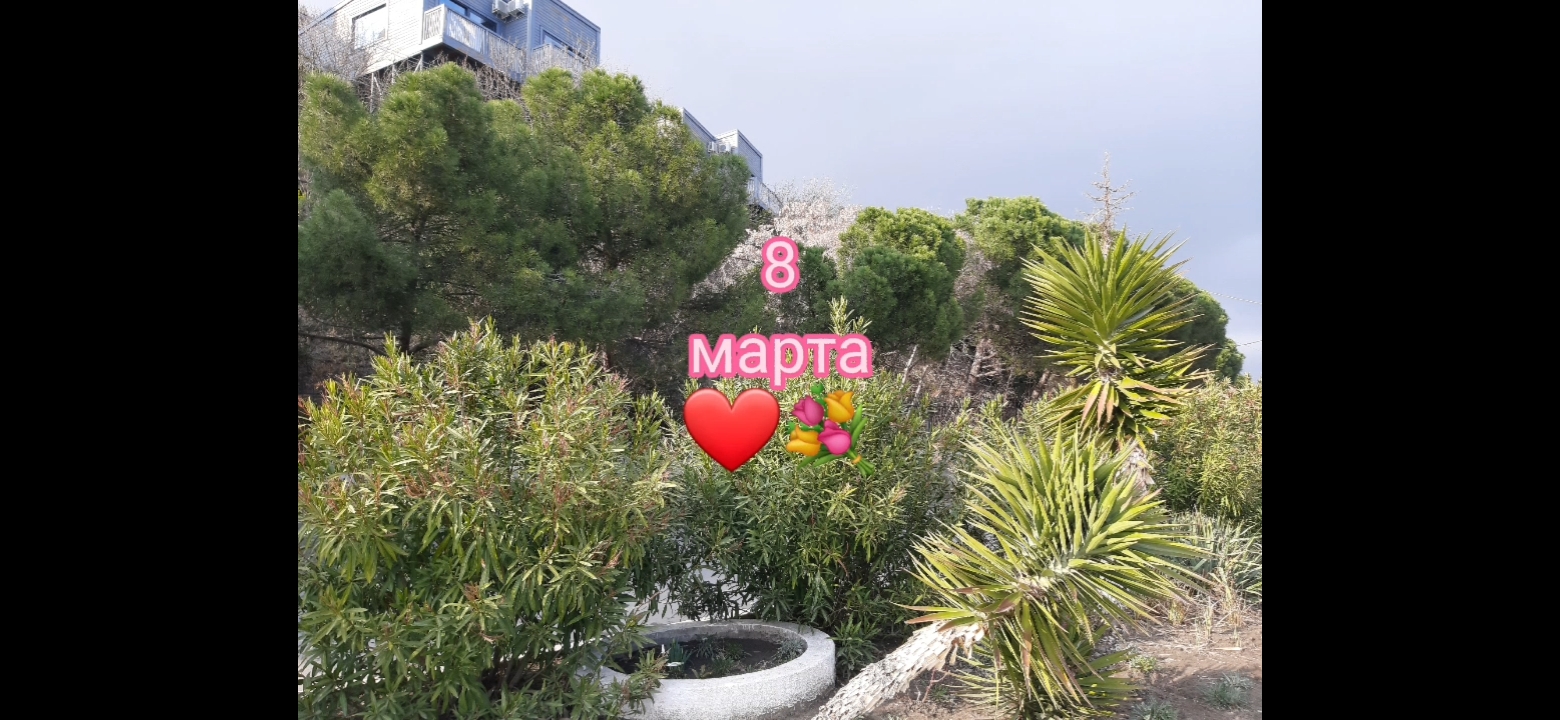 Поиски интересного. Монеты смотреть онлайн