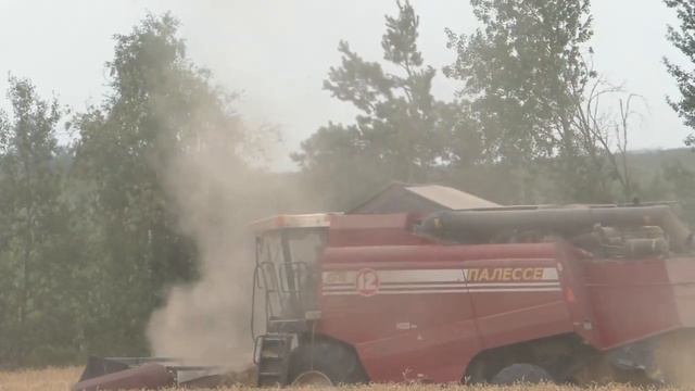 УБОРКА ОЗИМОГО ЯЧМЕНЯ в ОАО Журавлиное 2020 смотреть онлайн