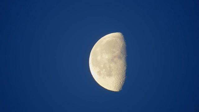 Księżyc o poranku w śpiewie ptaków. Ciekawa obserwacja...2.4.21 смотреть онлайн