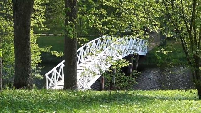 «Домовому». Читает Николай Алексеев смотреть онлайн