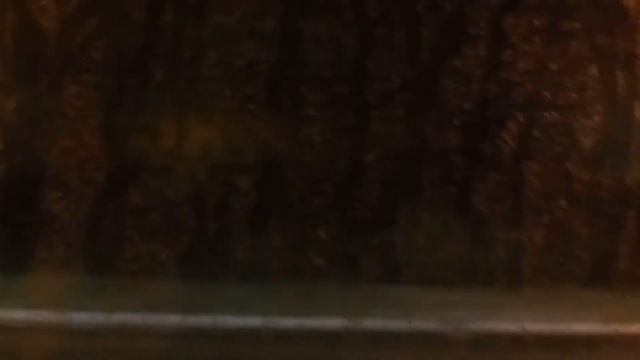 зарево ночью на небе смотреть онлайн