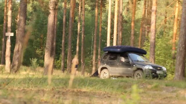 Соседи валят Дерево смотреть онлайн