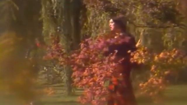 *Галина КАРЕВА | Дремлют плакучие ивы (1987) смотреть онлайн