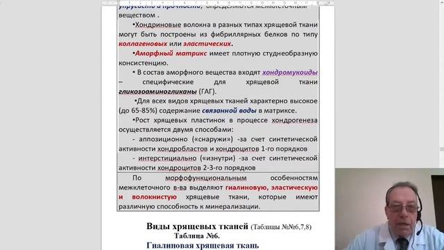 Гистология 2. Соединительные и скелетные ткани смотреть онлайн