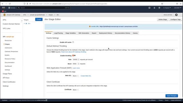Api Gateway and Lambda Function in AWS смотреть онлайн