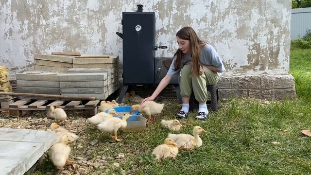 Когда ты ушла ?? | читательский влог смотреть онлайн