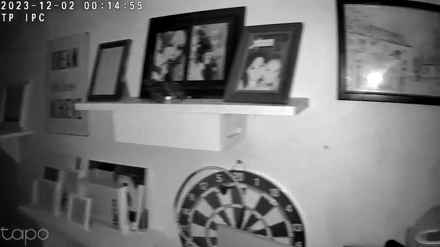 My haunted house смотреть онлайн